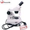XT-III-40X 凤凰光学 专业双目体视显微镜图1