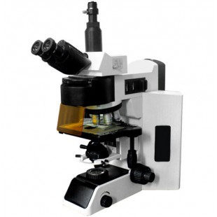 上光彼爱姆高级落射荧光显微镜BM-FM-YG 100D